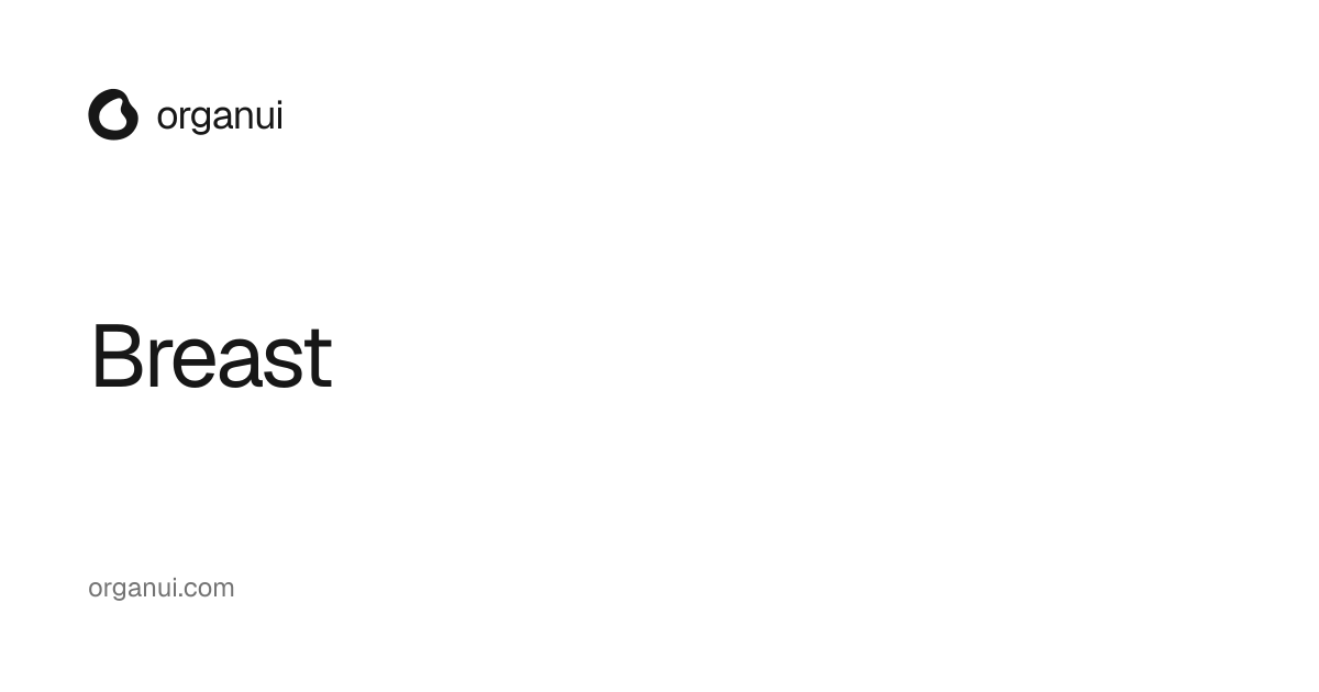 Breast — OrganUI