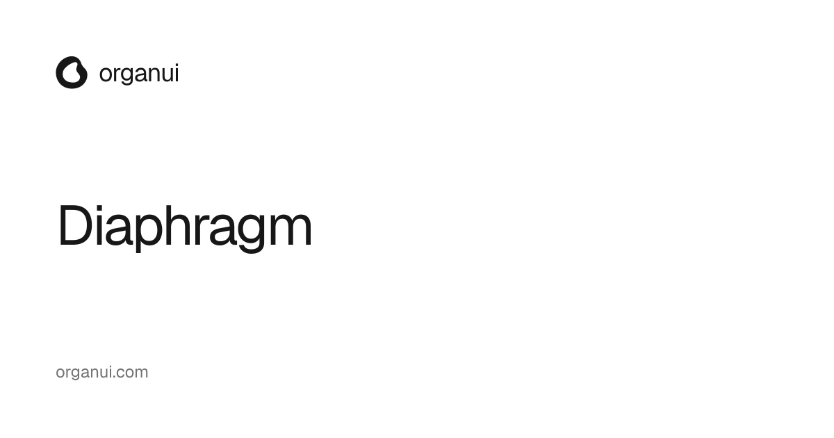Diaphragm — OrganUI